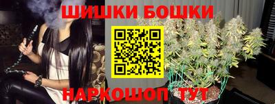 индика Моздок