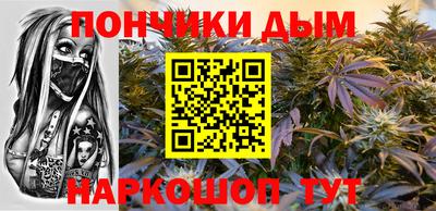 индика Моздок
