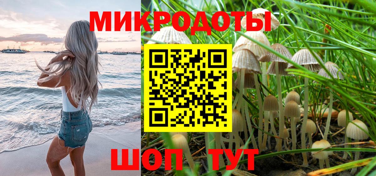 Десногорск  Галлюциногенные грибы мухоморы  Галлюциногенные грибы прущие грибы  Вход с VPN 